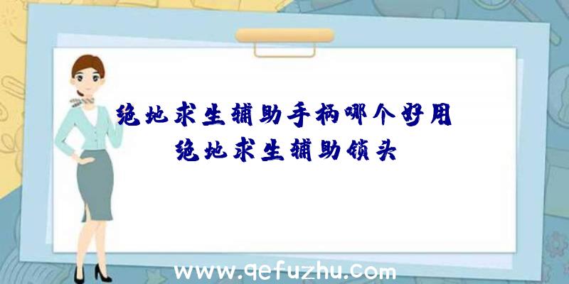 「绝地求生辅助手柄哪个好用」|绝地求生辅助锁头